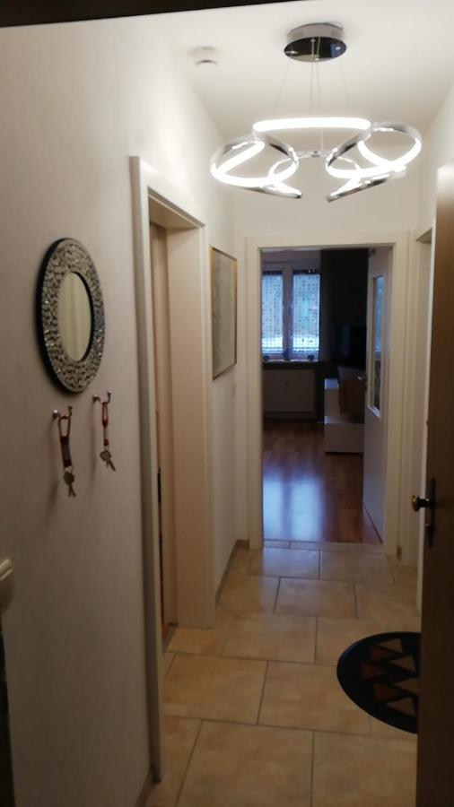 Greenleaf Walhalla-Apartment - Highspeed Wlan - Netflix - Suedbalkon Tegernheim Kültér fotó